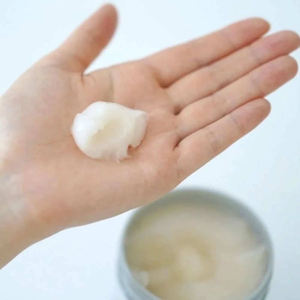 Fino Premium Touch Hair Mask Shiseido Premium Touch Hair Treatment Mask