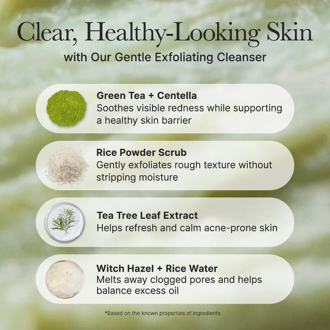 ARENCIA FRESH GREEN RICE MOCHI CLEANSER 120G