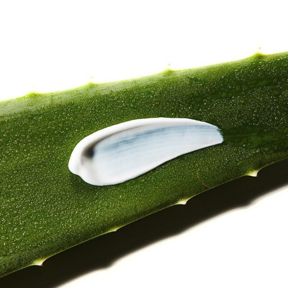 COSRX ALOE SOOTHING SUN CREAM SPF50 PA+++ 50ML